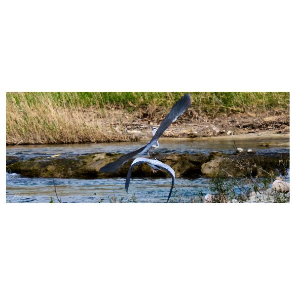 PHOTO84, CLUB, 84 , LUBERON